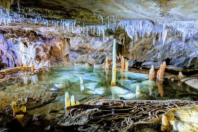 Buchan Caves Guided Tours