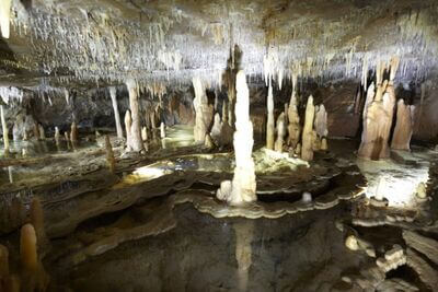 Buchan Caves Guided Tours