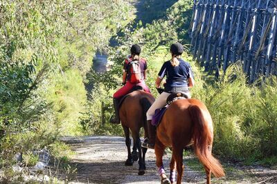 East Gippsland Rail Trail