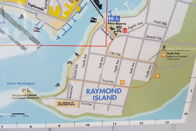 Raymond Island  Koala Trail